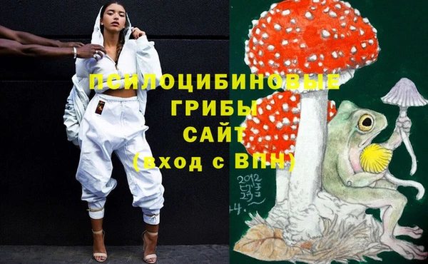 бошки Тында