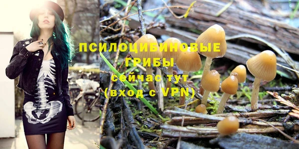 дурь Елабуга