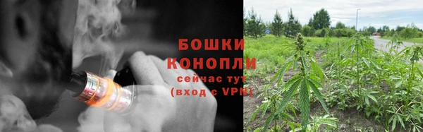 дурь Елабуга