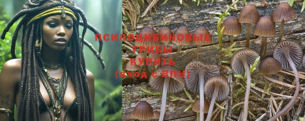 Альфа ПВП Ельня