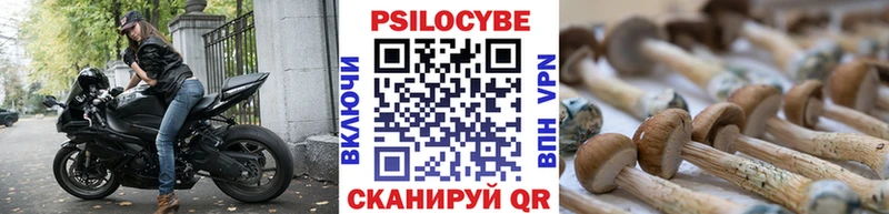 продажа наркотиков Бронницы Псилоцибиновые грибы прущие грибы